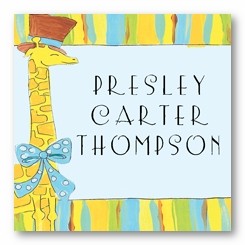 Giraffe Personalized 3x3 Calling Cards