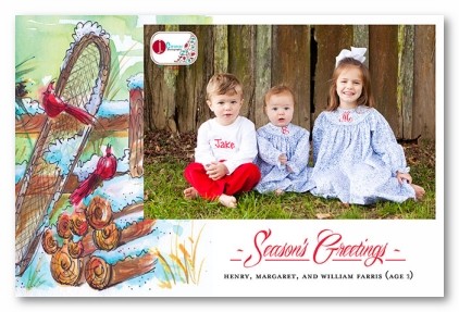 Frosty Feathered Friends Personalized Holiday Photo Cards