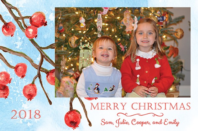 Snow Berries Personalized Holiday Photo Cards